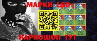 стафф Гай