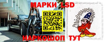 стафф Гай