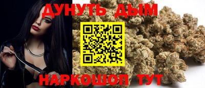 стафф Гай