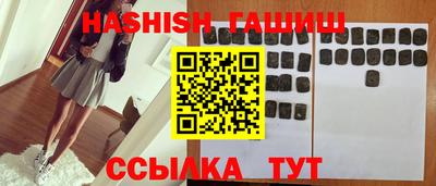 стафф Гай