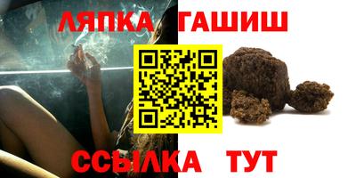 стафф Гай