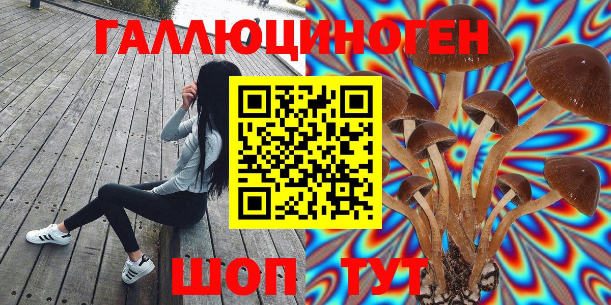 Галлюциногенные грибы мицелий Городец
